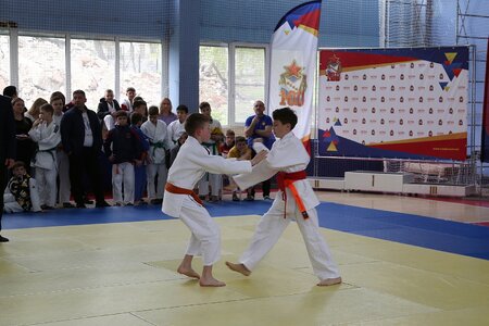 SCA_3319