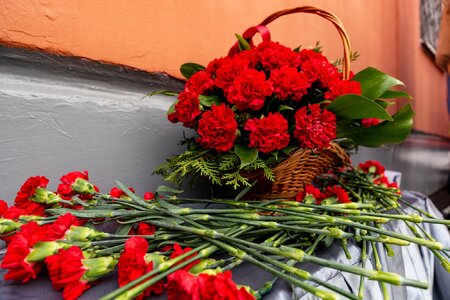 gallery_6569f6d2b25f0
