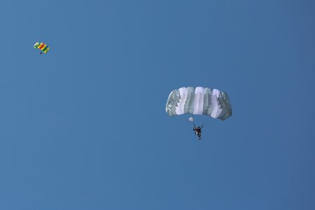 SCA_6009
