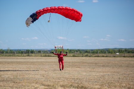 SCA_6331